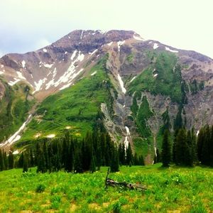 Meet your Posher, Niko